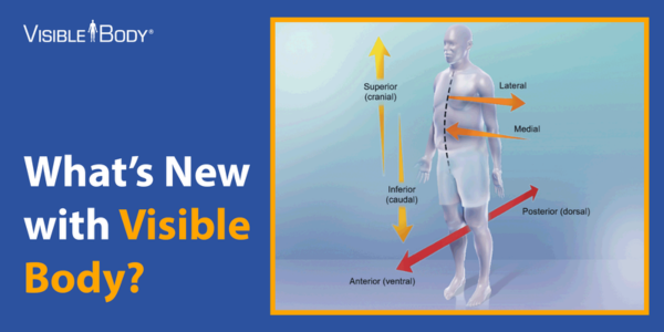 visible body latest updates